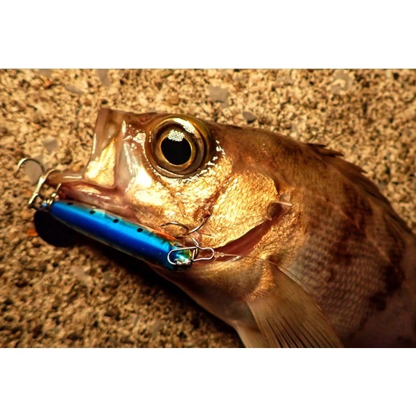 Metal Shalldus 15g
